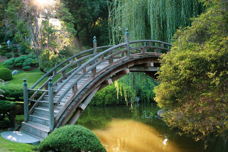 Enchanted Arboretum